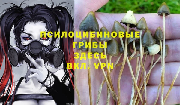 мескалин Балахна
