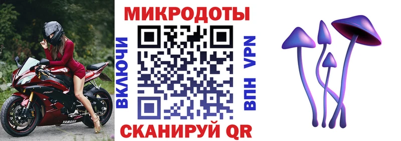 дарнет шоп  Ликино-Дулёво  Псилоцибиновые грибы Psilocybine cubensis 